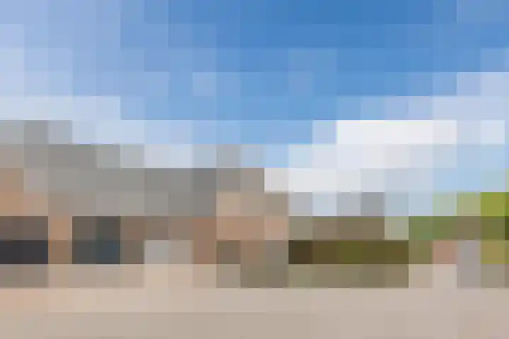 Haagbeuk 13 Halsteren thumbnail 75