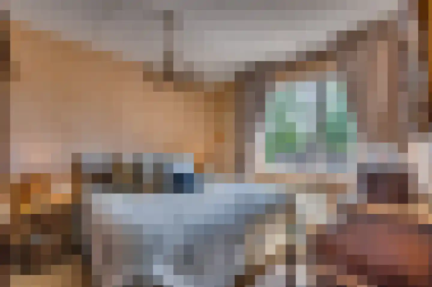 Haagbeuk 13 Venlo thumbnail 12