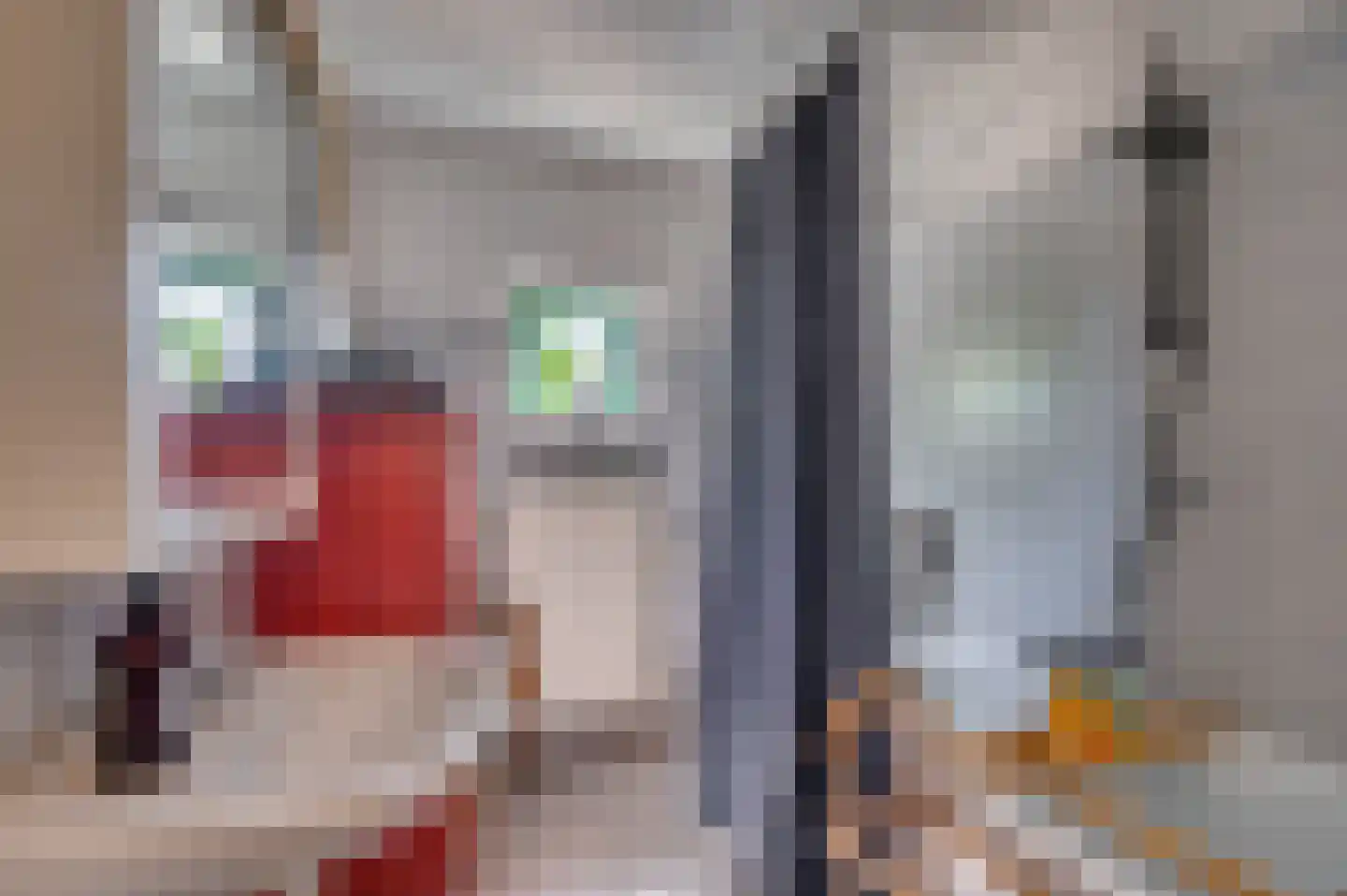 Haagbeuk 13 Venlo thumbnail 15
