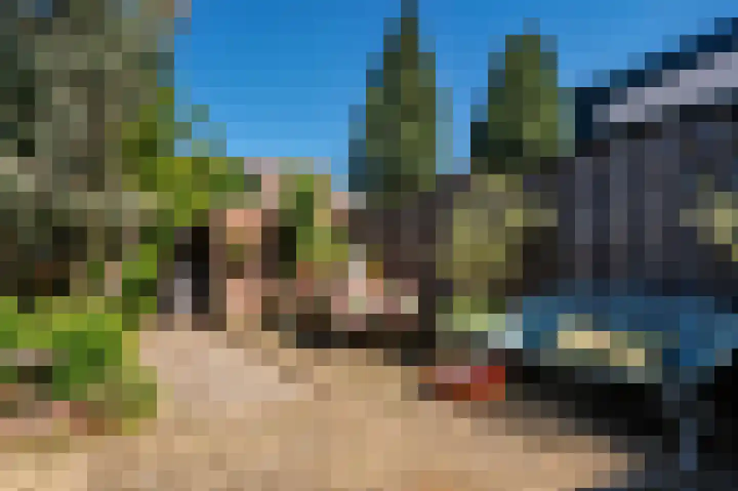 Haagbeuk 13 Venlo thumbnail 20