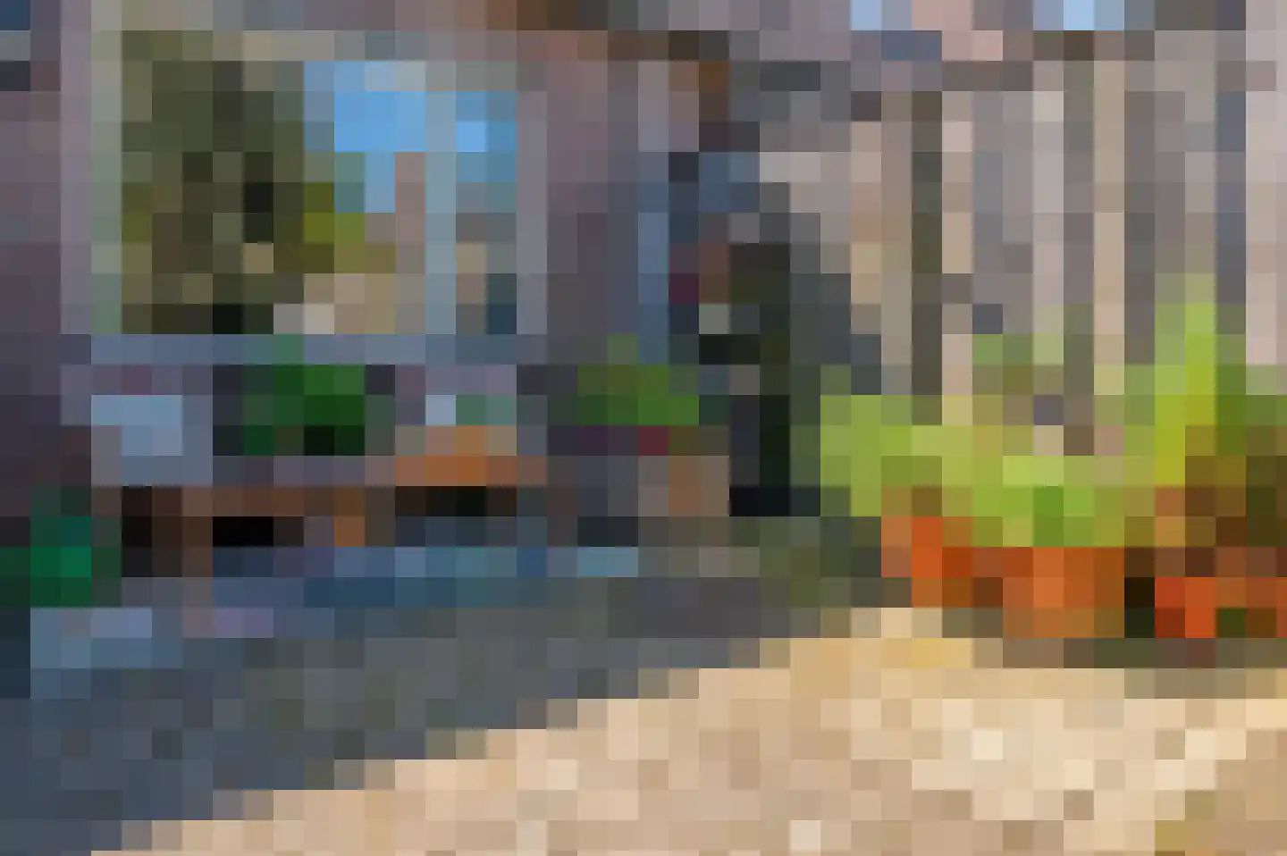 Haagbeuk 13 Venlo thumbnail 21