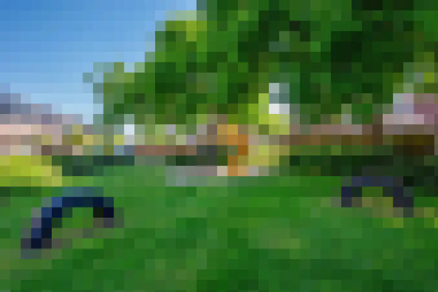 Haagbeuk 13 Venlo thumbnail 23