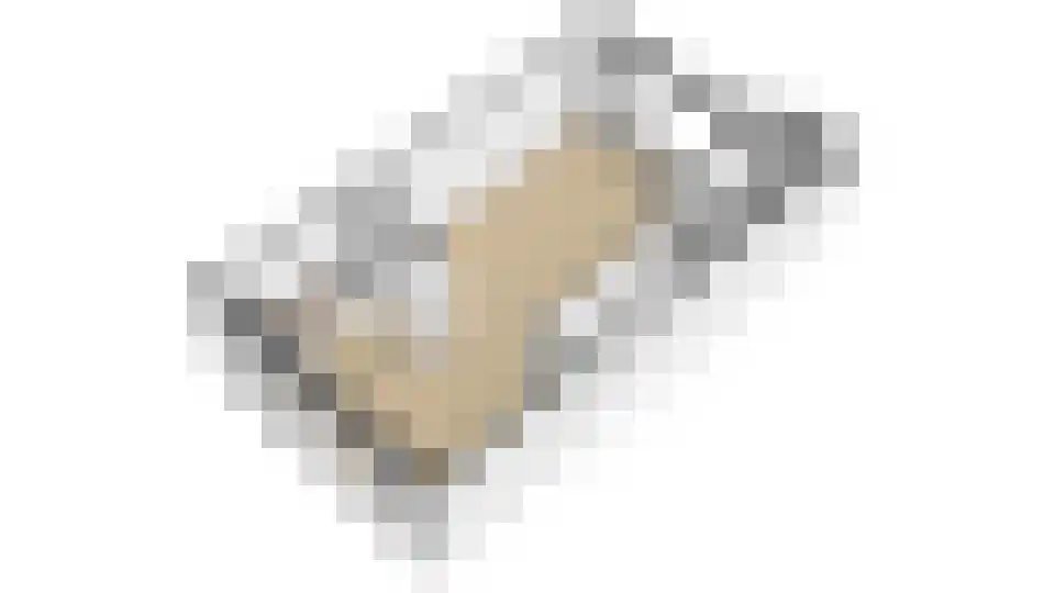 Haagbeuk 13 Venlo thumbnail 27