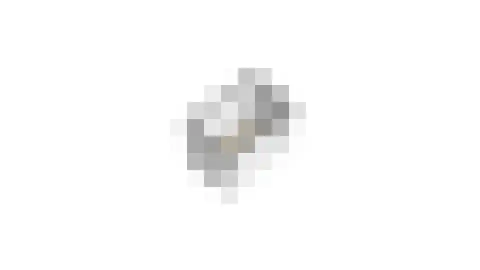 Haagbeuk 13 Venlo thumbnail 35