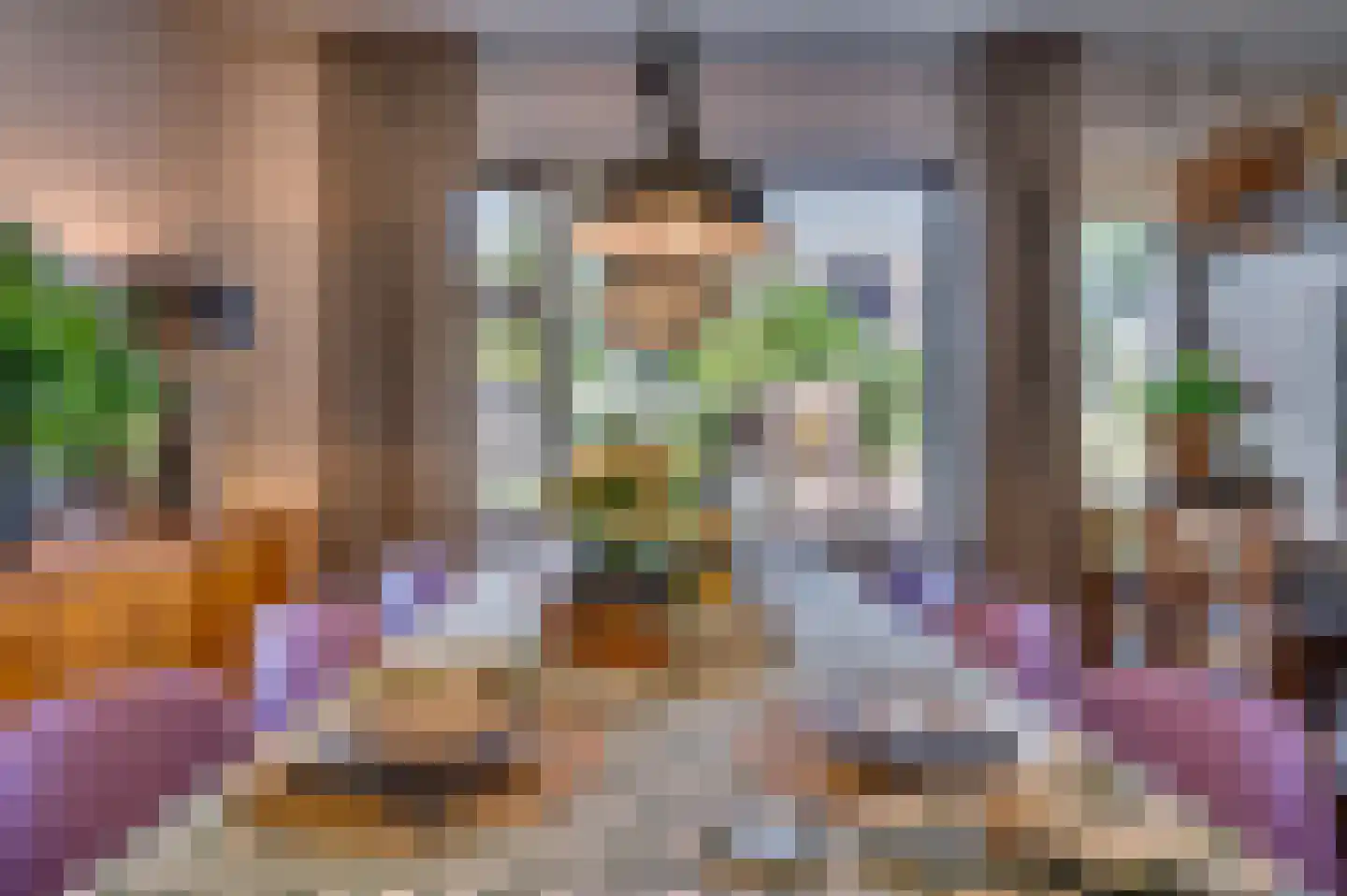 Haagbeuk 13 Venlo thumbnail 5