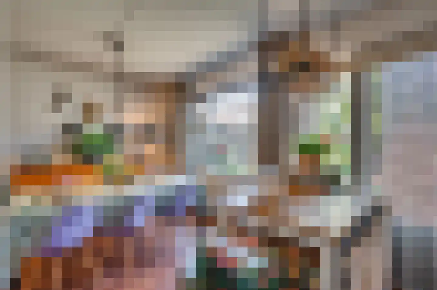 Haagbeuk 13 Venlo thumbnail 6