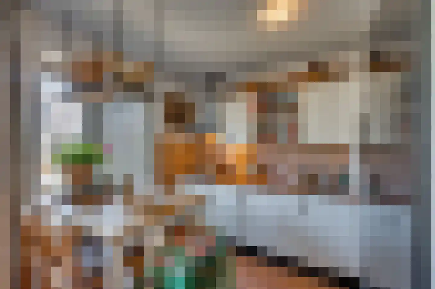 Haagbeuk 13 Venlo thumbnail 7