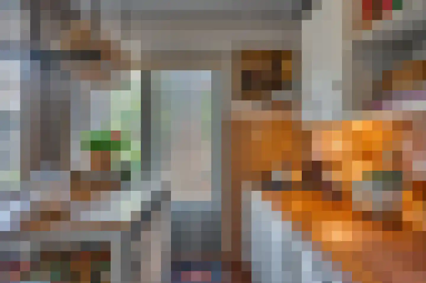 Haagbeuk 13 Venlo thumbnail 8
