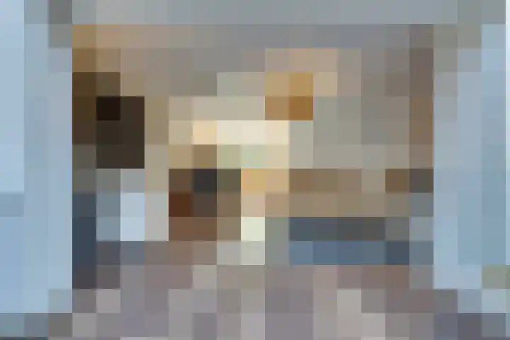 Haagbeuk 21 Venlo thumbnail 10
