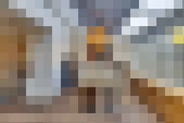 Haagbeuk 21 Venlo thumbnail 11