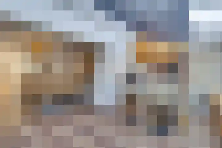Haagbeuk 21 Venlo thumbnail 12