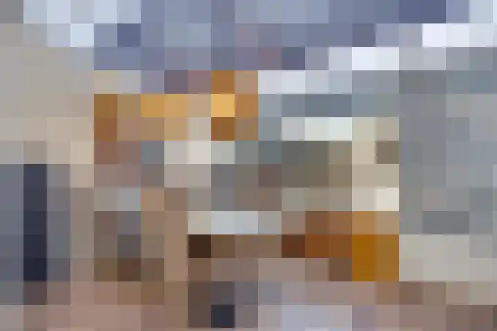 Haagbeuk 21 Venlo thumbnail 13