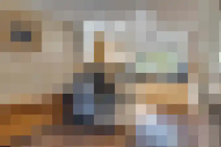 Haagbeuk 21 Venlo thumbnail 14
