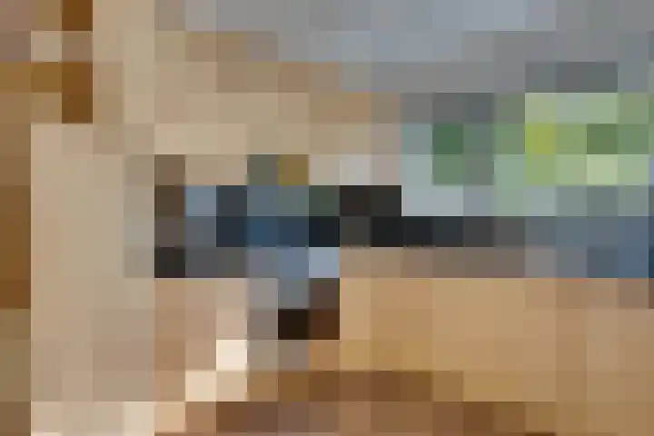 Haagbeuk 21 Venlo thumbnail 15