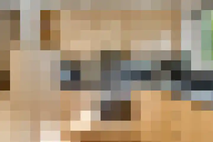 Haagbeuk 21 Venlo thumbnail 17