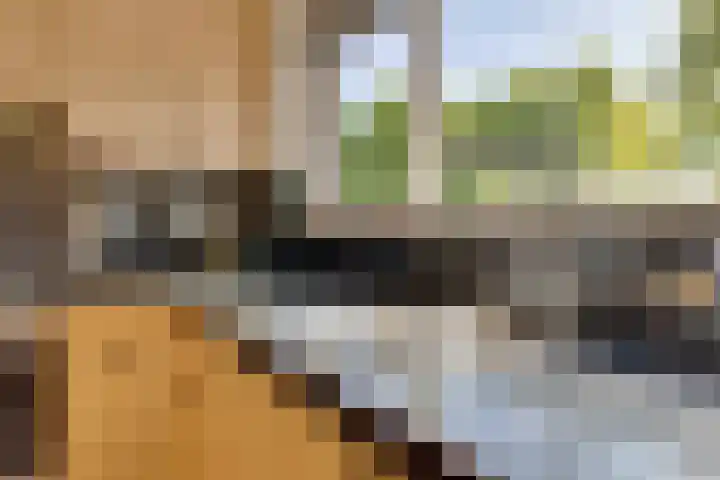 Haagbeuk 21 Venlo thumbnail 18
