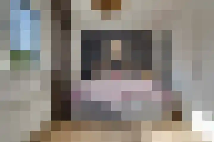Haagbeuk 21 Venlo thumbnail 23