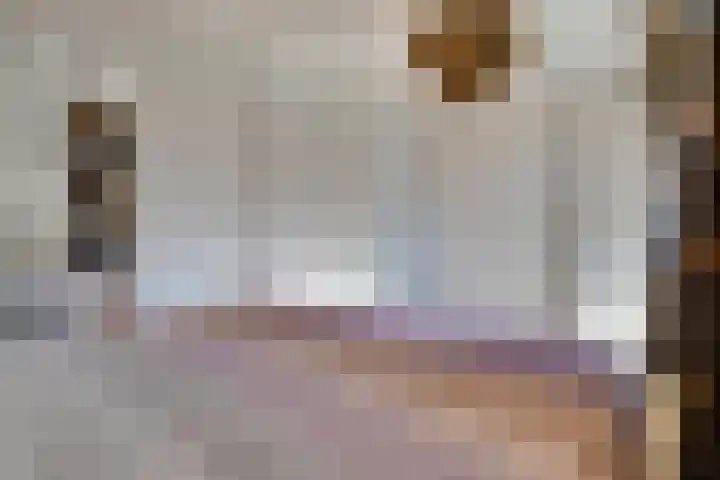 Haagbeuk 21 Venlo thumbnail 24