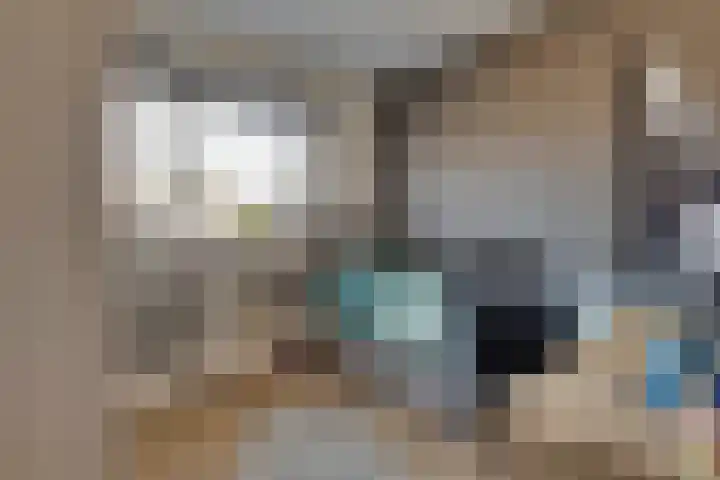 Haagbeuk 21 Venlo thumbnail 25