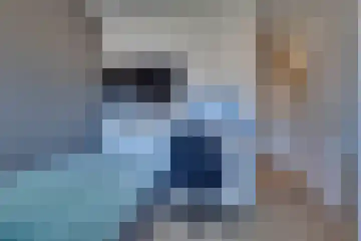Haagbeuk 21 Venlo thumbnail 26