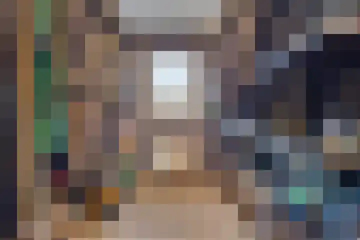 Haagbeuk 21 Venlo thumbnail 27