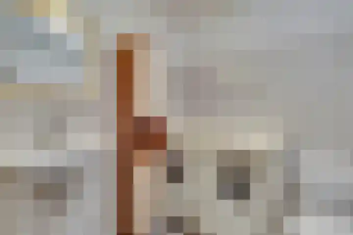 Haagbeuk 21 Venlo thumbnail 29