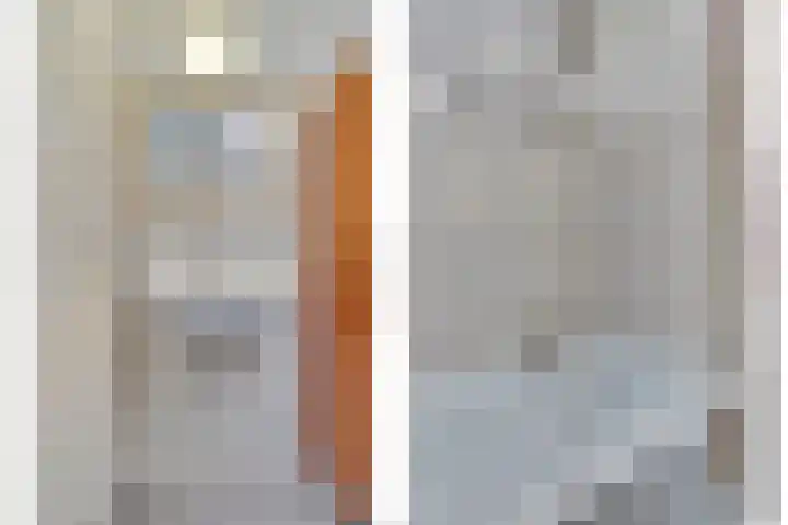 Haagbeuk 21 Venlo thumbnail 30