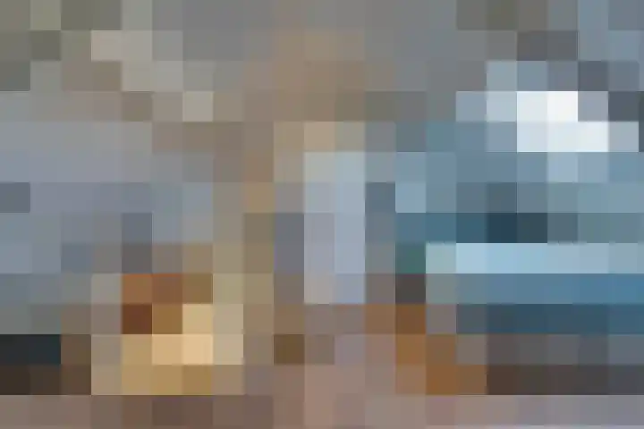 Haagbeuk 21 Venlo thumbnail 31