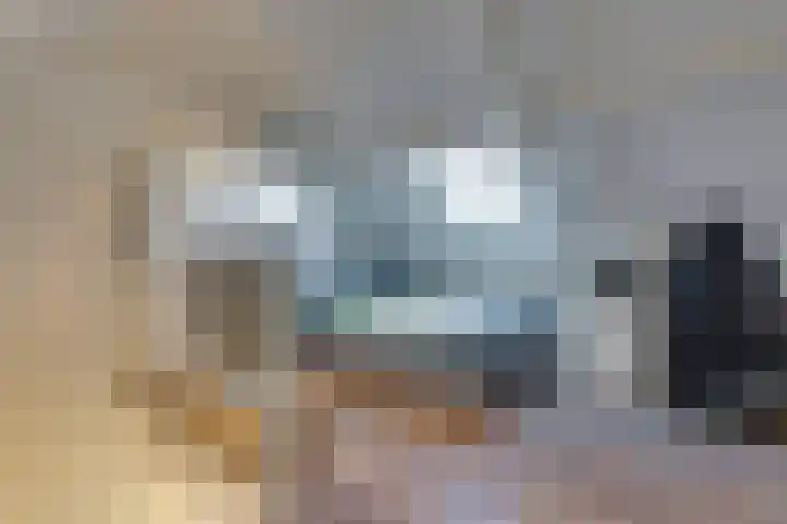 Haagbeuk 21 Venlo thumbnail 32