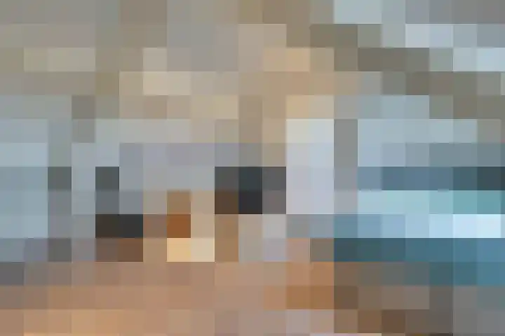 Haagbeuk 21 Venlo thumbnail 33