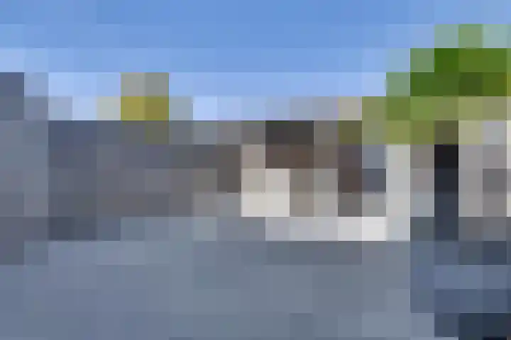 Haagbeuk 21 Venlo thumbnail 35