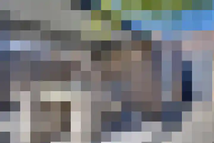 Haagbeuk 21 Venlo thumbnail 36