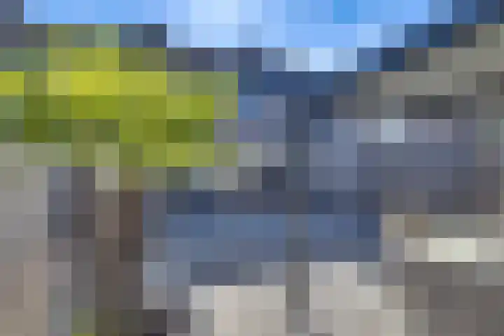 Haagbeuk 21 Venlo thumbnail 37