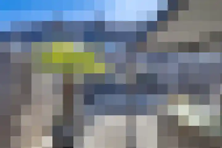 Haagbeuk 21 Venlo thumbnail 38