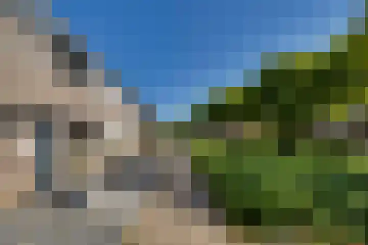 Haagbeuk 21 Venlo thumbnail 4