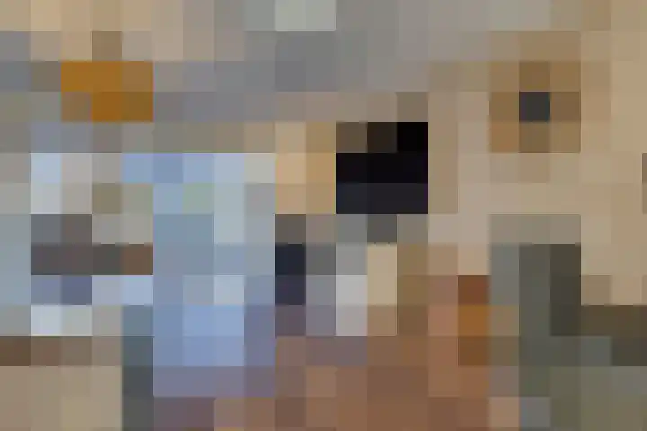 Haagbeuk 21 Venlo thumbnail 5