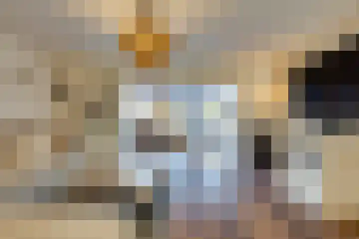 Haagbeuk 21 Venlo thumbnail 6