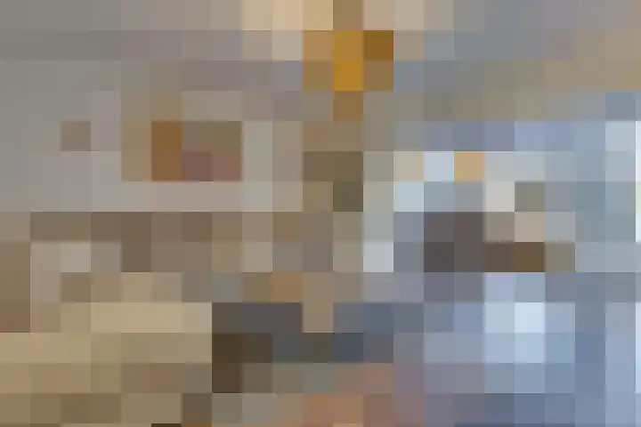 Haagbeuk 21 Venlo thumbnail 7