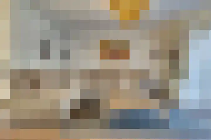 Haagbeuk 21 Venlo thumbnail 8