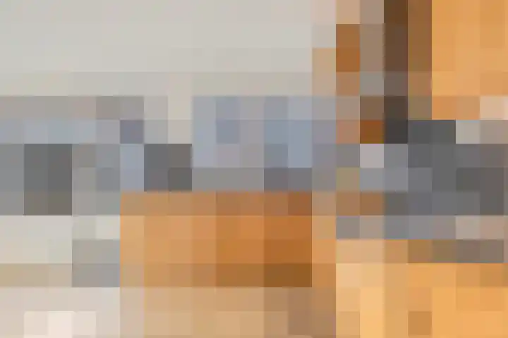 Haagbeuk 25 Venlo thumbnail 10