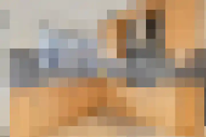 Haagbeuk 25 Venlo thumbnail 11