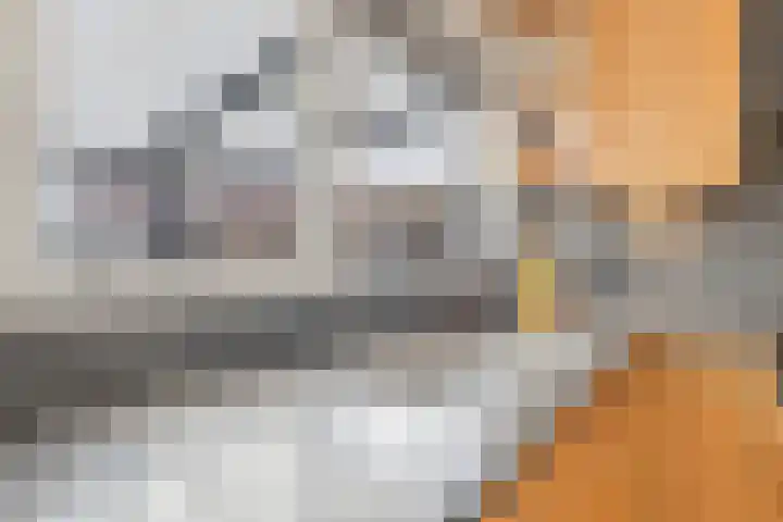 Haagbeuk 25 Venlo thumbnail 13