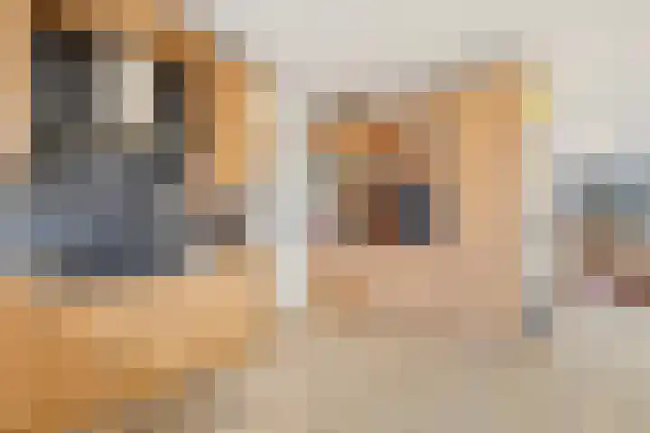 Haagbeuk 25 Venlo thumbnail 15