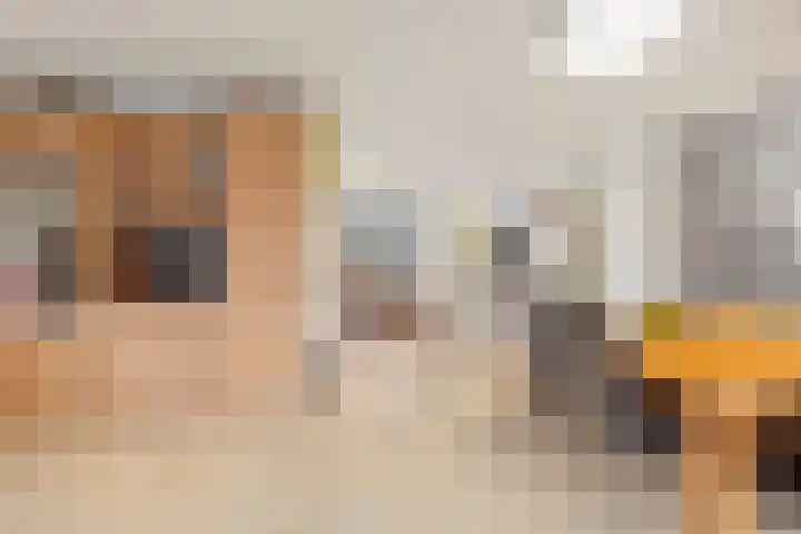Haagbeuk 25 Venlo thumbnail 16