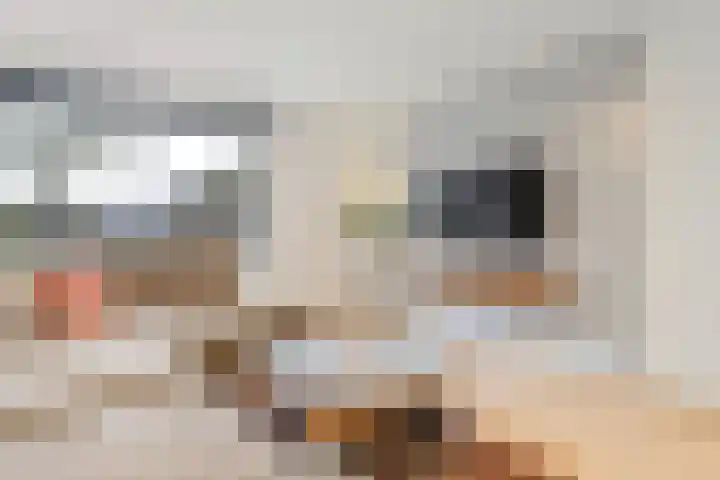 Haagbeuk 25 Venlo thumbnail 21