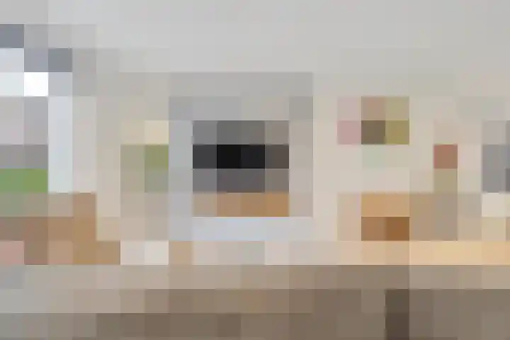 Haagbeuk 25 Venlo thumbnail 23