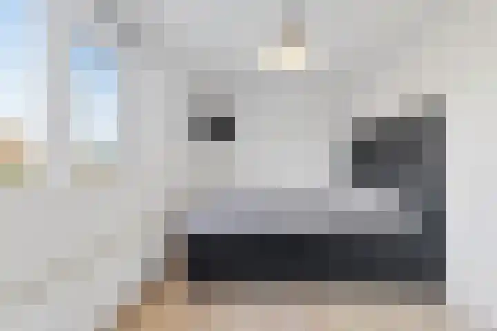 Haagbeuk 25 Venlo thumbnail 26