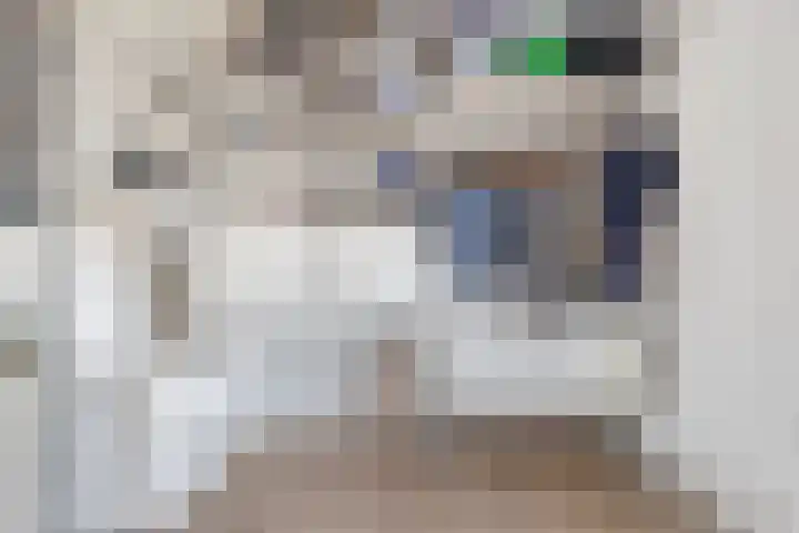 Haagbeuk 25 Venlo thumbnail 27