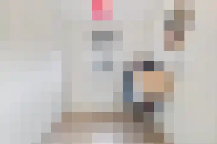 Haagbeuk 25 Venlo thumbnail 29