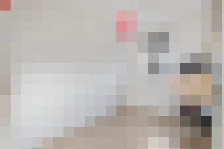 Haagbeuk 25 Venlo thumbnail 30